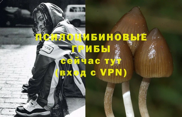 COCAINE Нефтекумск