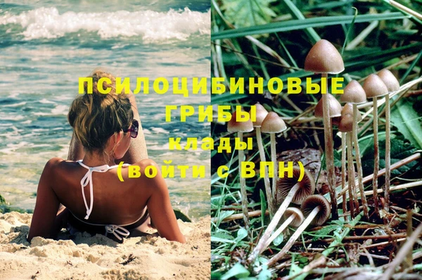 COCAINE Нефтекумск